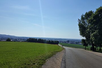 Blick vom Steinberg auf den Statteil Riedlingen