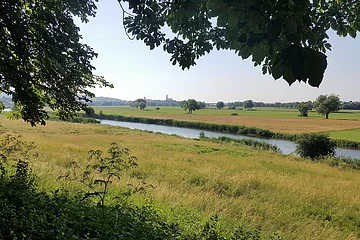 Blick vom alten Bahndamm Richtung Donauwörth