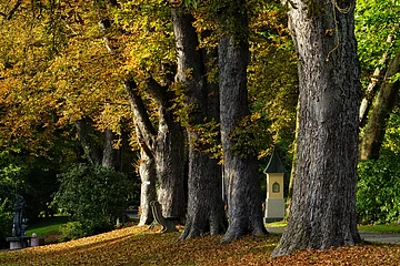 Donauwörth - Promenade im Herbst