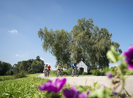 Kapelle Warching, Monheim Drei Personen fahren auf Fahrrädern auf einem Weg, im Hintergrund Bäume und eine kleine Kapelle. Im Vordergrund unscharfe Blumen.