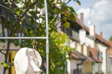 Ein Gitter, an dem Rosen wachsen steht vor der alten Stadtmauer in Nördlingen.